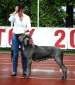 ZORKA 2,5 yers